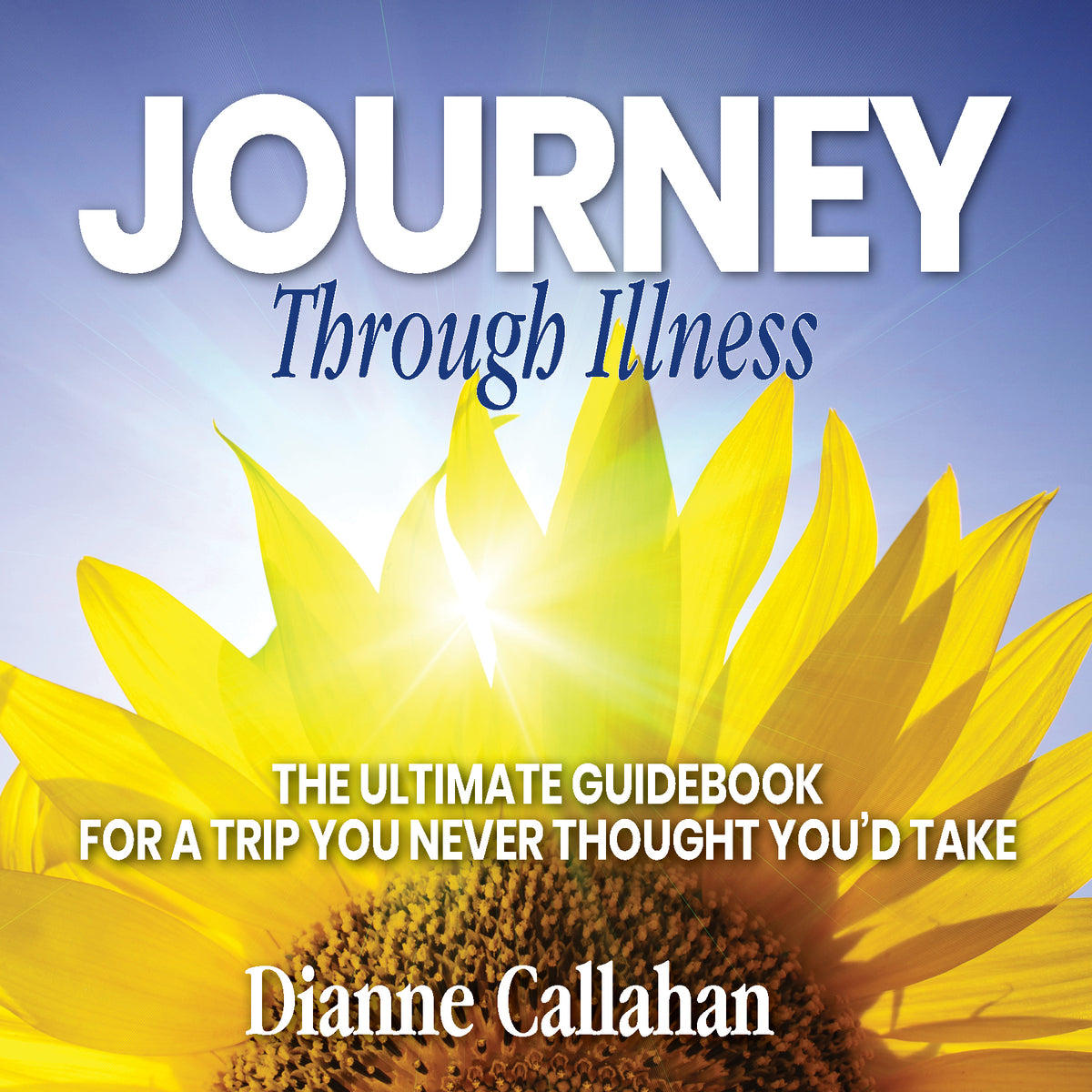 Journy Through Illness:  The Ultimate Guidebook for a Trip You Never Thought You'd Take